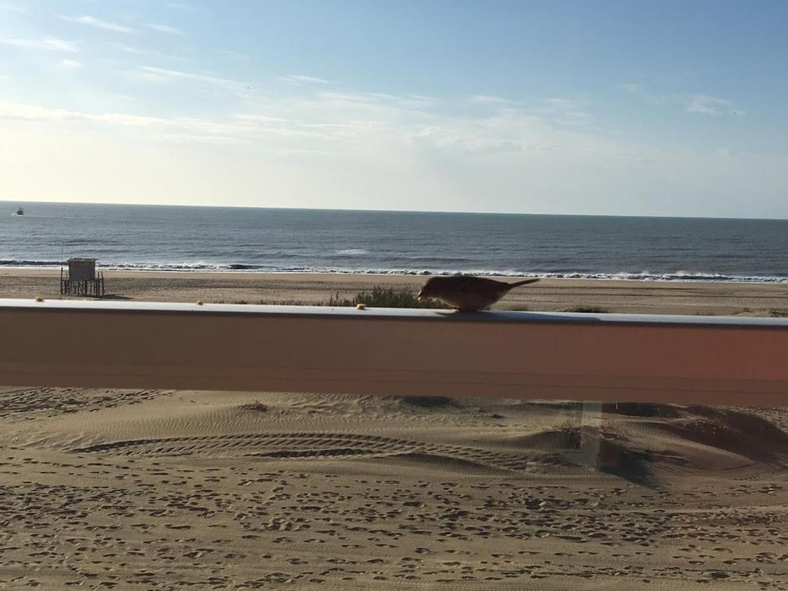 Mirasoles 20 Apartment Las Gaviotas Bagian luar foto